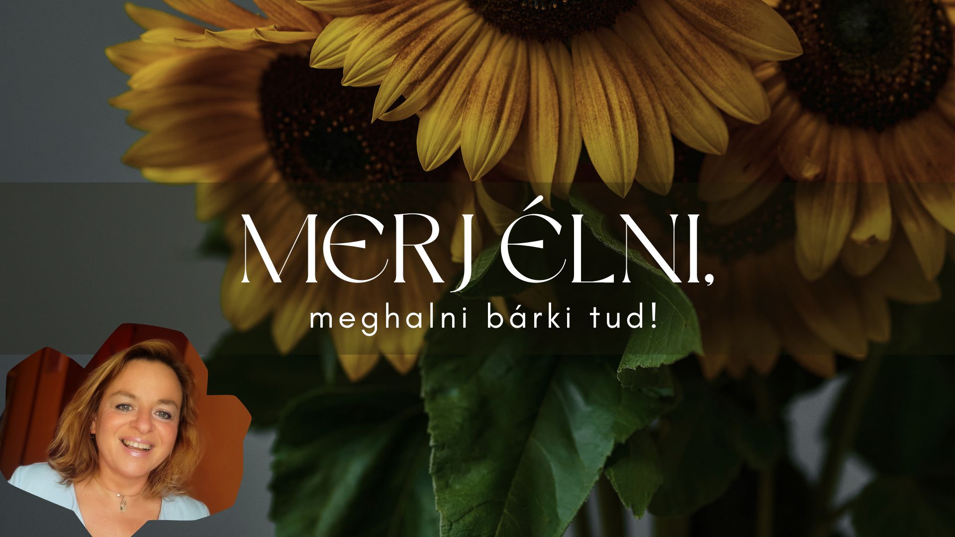 Merj élni